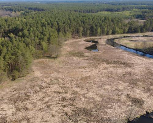 Działka 1,140 ha przy lesie Nad rzeką Wdą-Smolniki