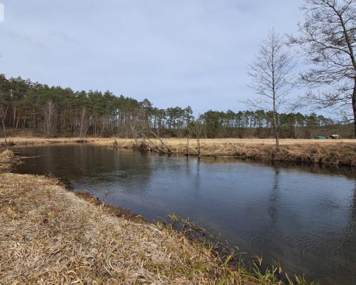 Działka 1,140 ha przy lesie Nad rzeką Wdą-Smolniki