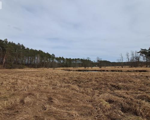 Działka 1,140 ha przy lesie Nad rzeką Wdą-Smolniki