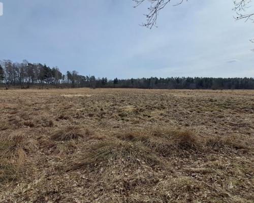 Działka 1,140 ha przy lesie Nad rzeką Wdą-Smolniki