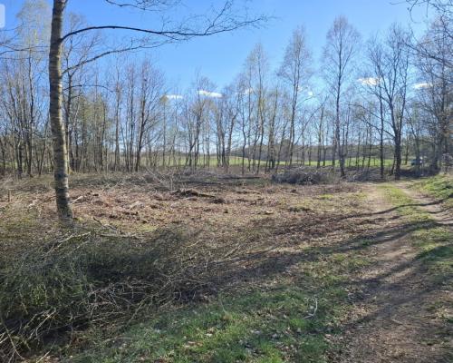 Działka 3 ha z lasem i stawem | WZ | Jeleńcz