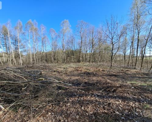 Działka 3 ha z lasem i stawem | WZ | Jeleńcz