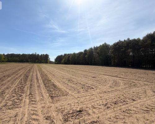 Tylko u nas!4500 m² ciszy i zieleni–Bory Tuchols