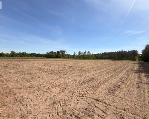 Tylko u nas!4500 m² ciszy i zieleni–Bory Tuchols