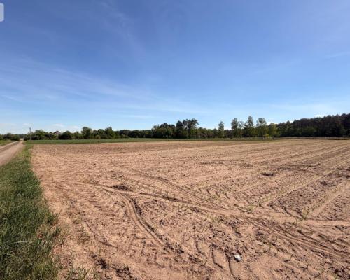 Tylko u nas!4500 m² ciszy i zieleni–Bory Tuchols