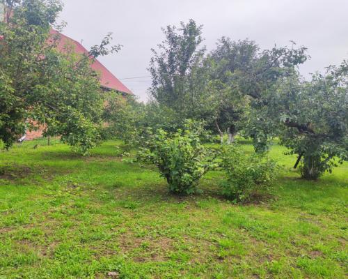 Działka rolna z dużą stodołą.
