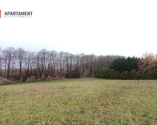 Działka rekreacyjna nad jeziorem