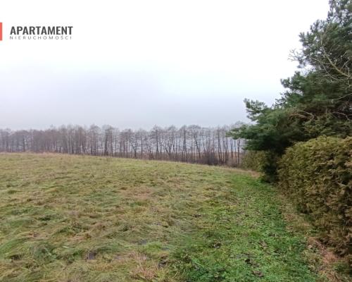 Działka rekreacyjna nad jeziorem