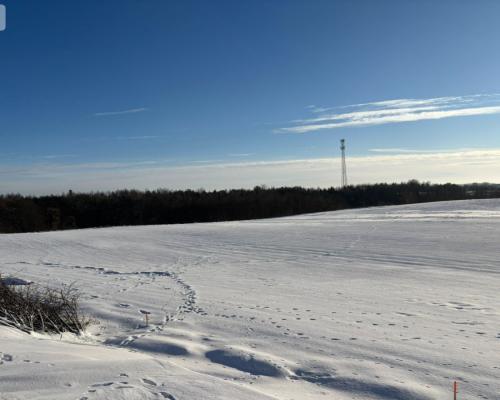 Działki z potencjałem  - Liniewskie Góry