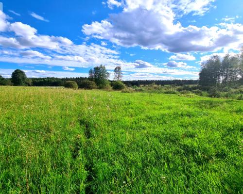 Tylko U Nas! Działki zagrodowe blisko jeziora!!