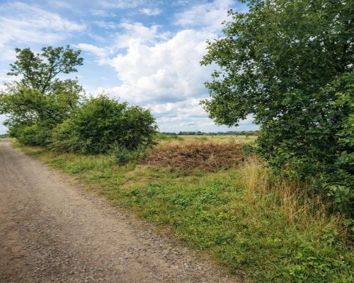 OKAZJA! Działka pod domek letniskowy – Osiek