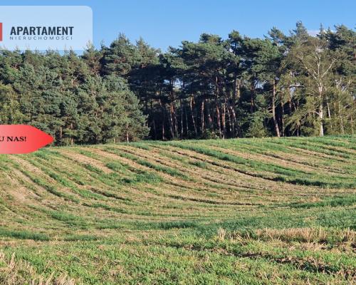 Działka z linią brzegową jeziora, wydane WZ