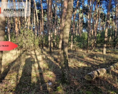 Działka z linią brzegową jeziora, wydane WZ