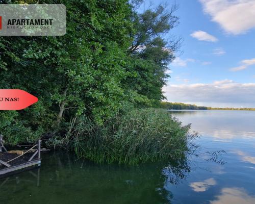Działka z linią brzegową jeziora, wydane WZ