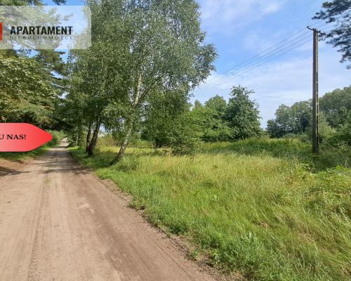 Działka z lasem