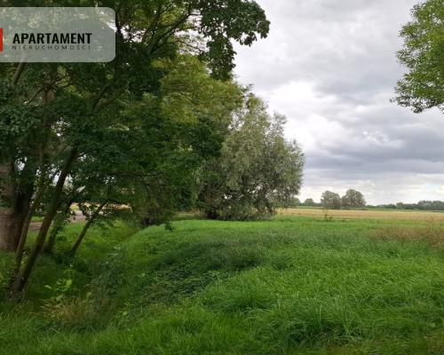 Nietuzinkowa działka pod inwestycję.