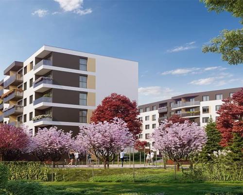 3-pokojowe mieszkanie na Sołtysowicach