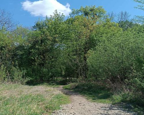 MIESZKANIE Z BALKONEM PRZY PARKU