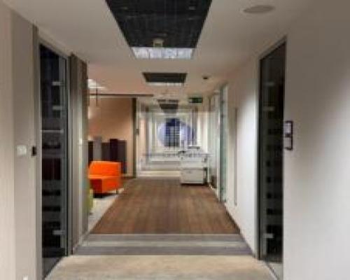 Śródmieście: lokal biurowy 593m2 do podnajmu