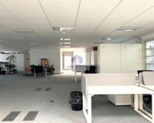 Wola: lokal biurowy 593m2 do wynajęcia