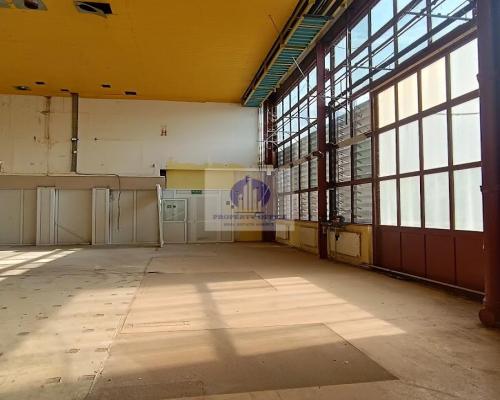 Bielany: magazyn 332,51m2 do wynajęcia