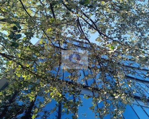 Mokotów: lokal biurowy 129,32 m2 do wynajęcia