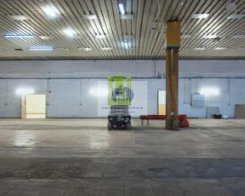 Bielany: lokal magazynowo-produkcyjny 424,21m2 na wynajem