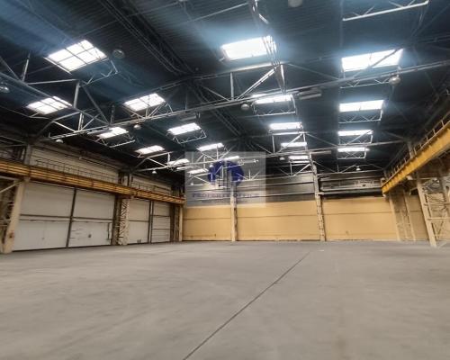Bielany: magazyn 3005m2 do wynajęcia