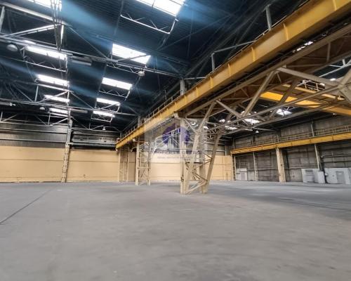 Bielany: magazyn 3005m2 do wynajęcia
