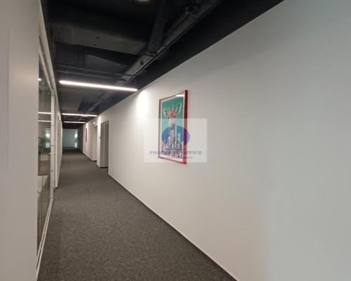 Śródmieście: lokal biurowy 219,19 m2 do wynajęcia