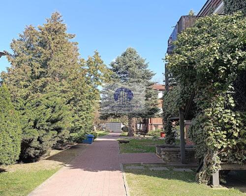 Mokotów: lokal biurowy 40m2 do wynajęcia