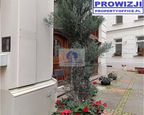 Śródmieście: lokal biurowy 50m2 do wynajęcia