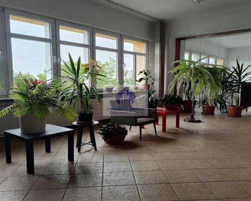 Wawer: lokal biurowy 32,61m2 do wynajęcia