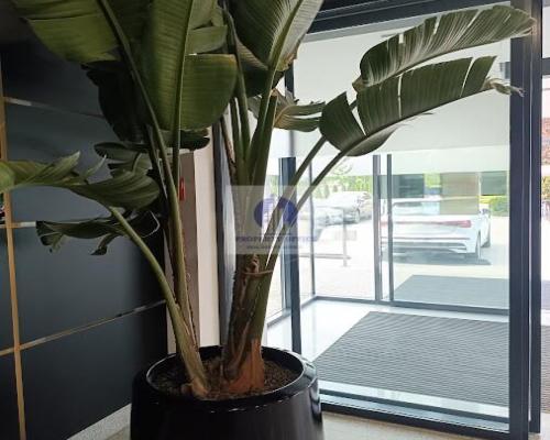 Warszawa Mokotów: lokal biurowy 263,91 m2 do wynajęcia
