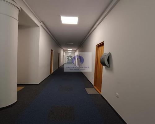 Śródmieście: lokal biurowy 44,70 m2 do wynajęcia