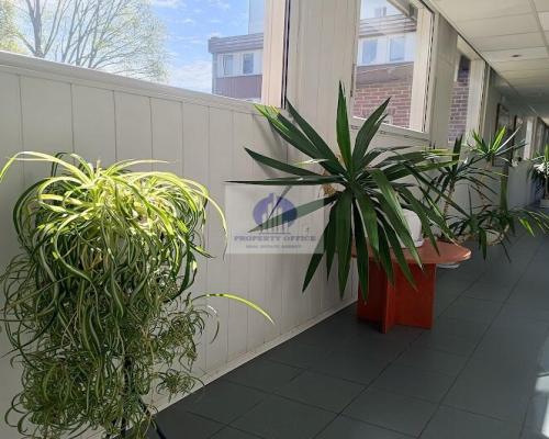 Mokotów: lokal biurowy 20m2 do wynajęcia