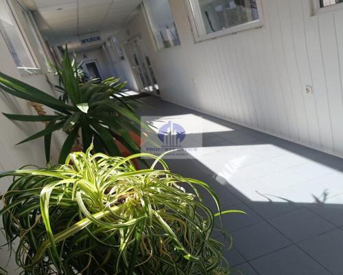 Mokotów: lokal biurowy 12m2 na wynajem