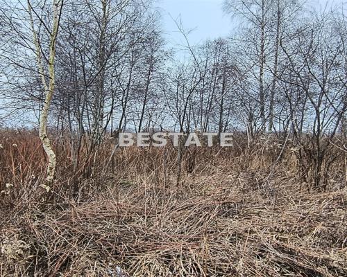 Działka rolna w Urazie częściowo zalesiona