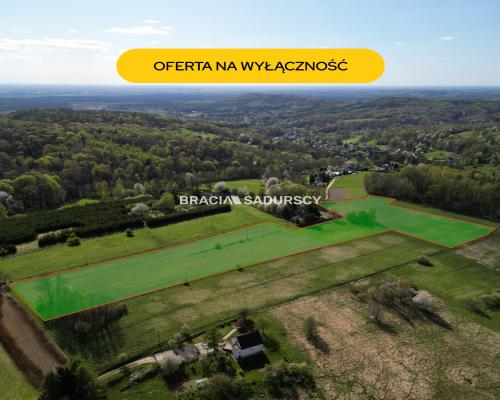 Płaska działka 2,21ha | Inwestycja | Natura