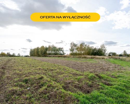 Działka budowlana / 25 ar / płaska / Cholerzyn
