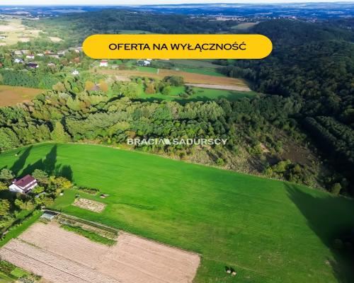 Duża działka z potencjałem inwestycyjnym – 2,52 ha