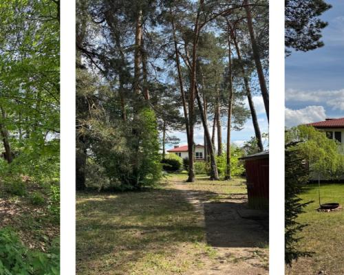 Posiadłość 2500m2 | Zadbany Dom z Lasem