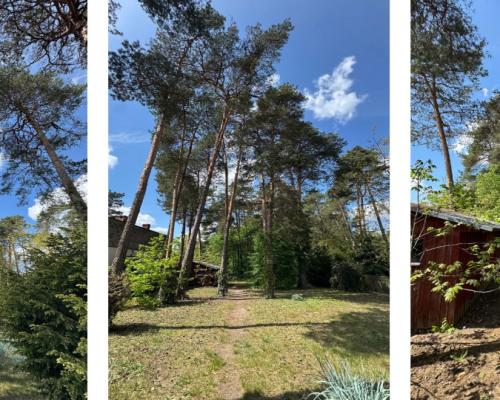 Posiadłość 2500m2 | Zadbany Dom z Lasem