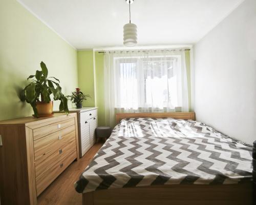 4 pokoje z ogródkiem | 74,9 m² | Parter