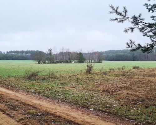 Działka 1743 m2, Pieńki