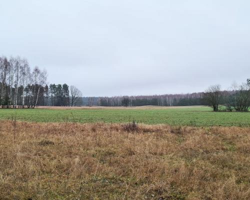 Działka 1743 m2, Pieńki