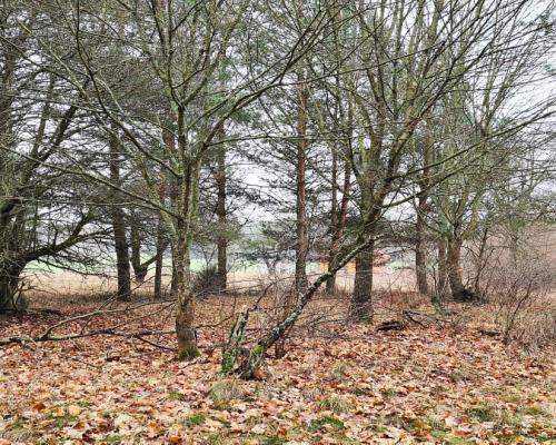 Działka 1900 m2. Pieńki