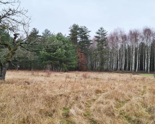 Działka 1900 m2. Pieńki