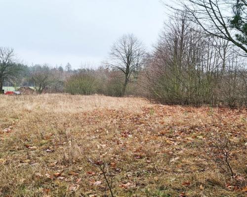Działka 1900 m2. Pieńki