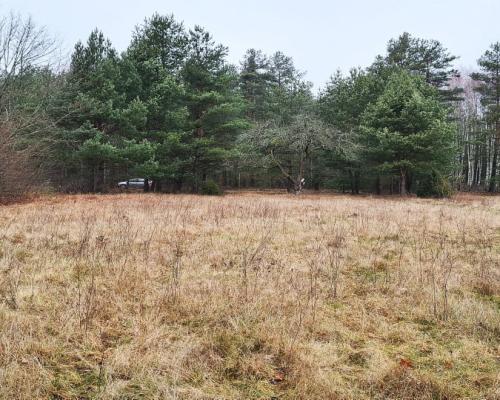 Działka 1900 m2. Pieńki